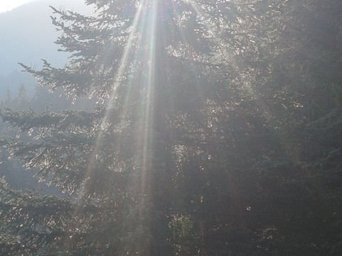 特佩特里纳酒店主图