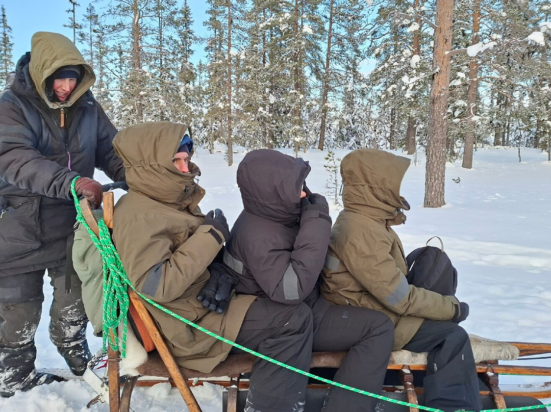 The Howling Dog Farm-Vemdalen必去景点