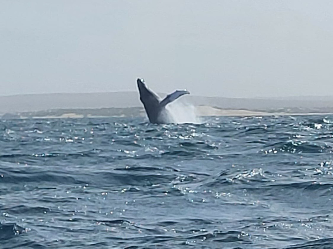 CaboKaiTours-萨尔雷必去景点