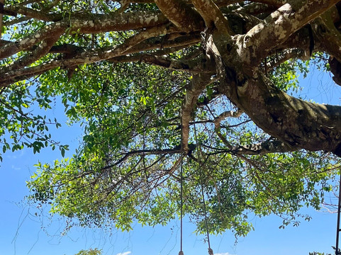 La Casa del Alto Tour Rural-Atenas必去景点