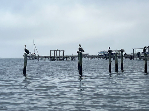 Lucky Chucky Charters-纳瓦拉必去景点