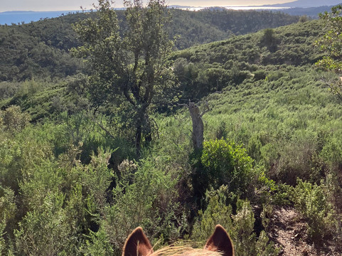 Aventure cheval. Randonnées à cheval-La Crau必去景点