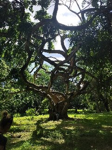 I and U Tours-Ganemulla必去景点