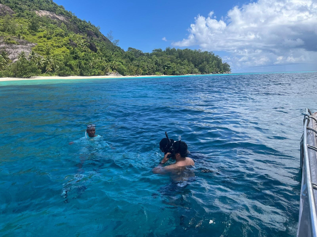 Banana Sea Club