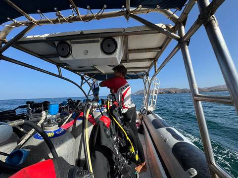 Rocket Frog Divers-Playas del Coco必去景点