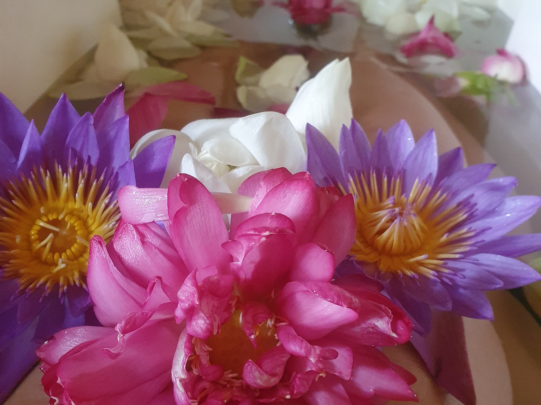 Hela Gedara Retreat Beruwala主图