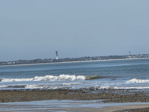 Charleston Fossil Adventures-查尔斯顿必去景点