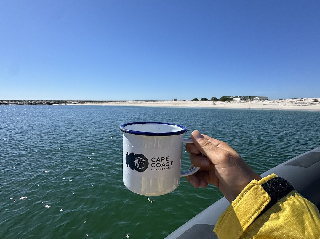 Cape Coast Expeditions-Yzerfontein必去景点