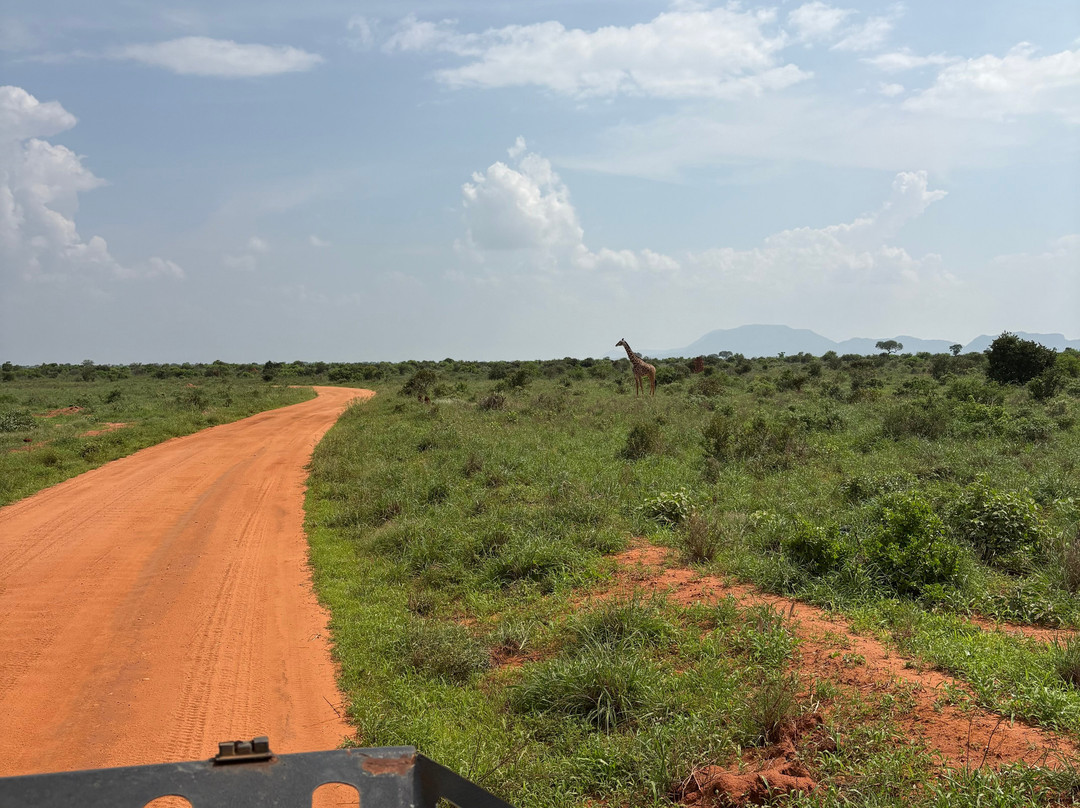 Elky Tours & Travel Kenya-迪亚尼必去景点