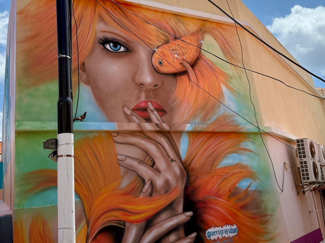 Dushi TukTuk Rentals-威廉斯塔德必去景点