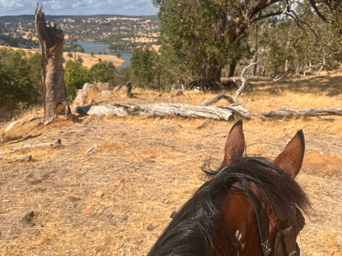 Langford Hill Riding Farm-Waroona必去景点