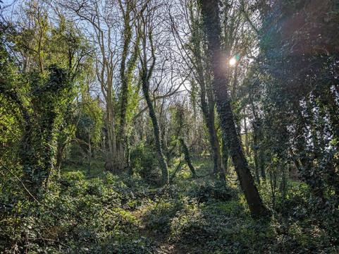 Brockadale Nature Reserve-庞蒂弗拉克特必去景点