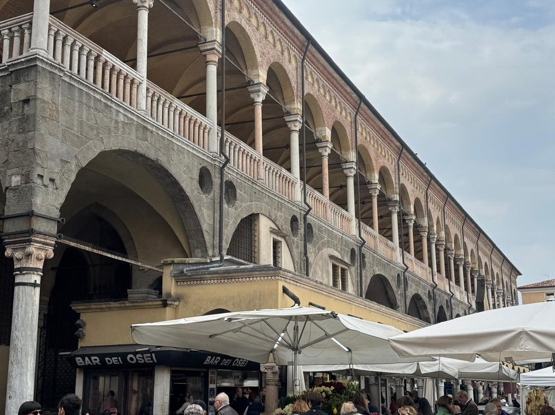 Piazza della Frutta-帕多瓦必去景点