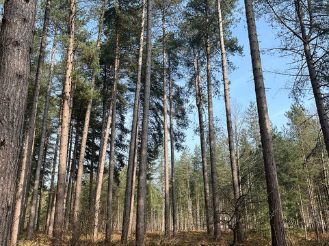 Sherwood Pines-Mansfield必去景点