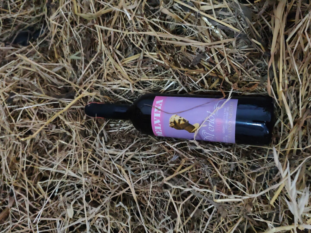 Fabrika E Verës Dea Delvinë