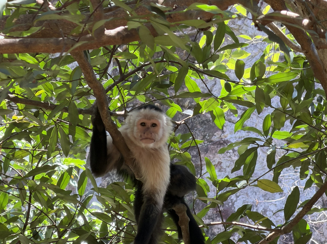 Matt's Fishing & Tours-萨迪纳尔必去景点