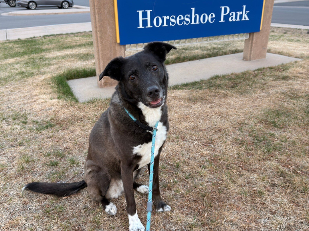 Horseshoe Park-奥罗拉必去景点