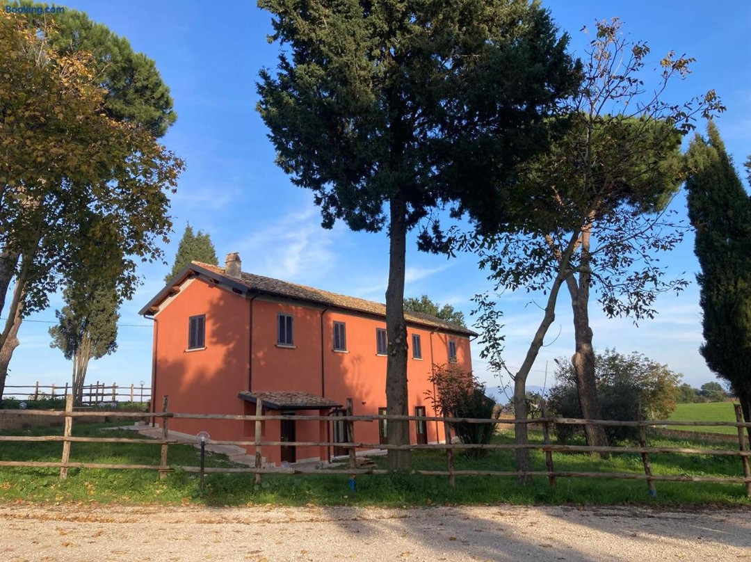 Azienda Agricola il Borgo di Sant'Elia