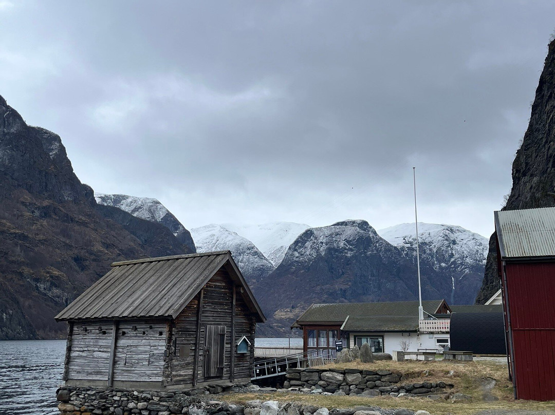 FjordSafari-弗洛姆必去景点