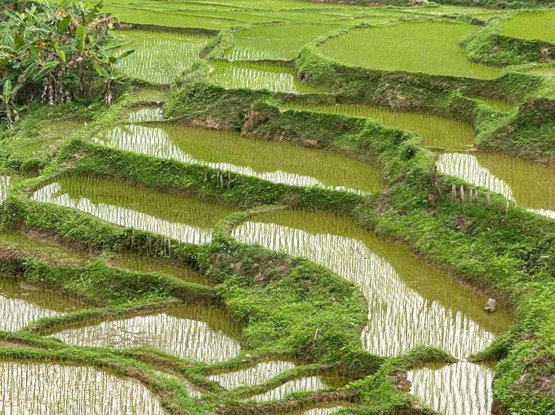 Vietnam Dragon Travel-河内必去景点