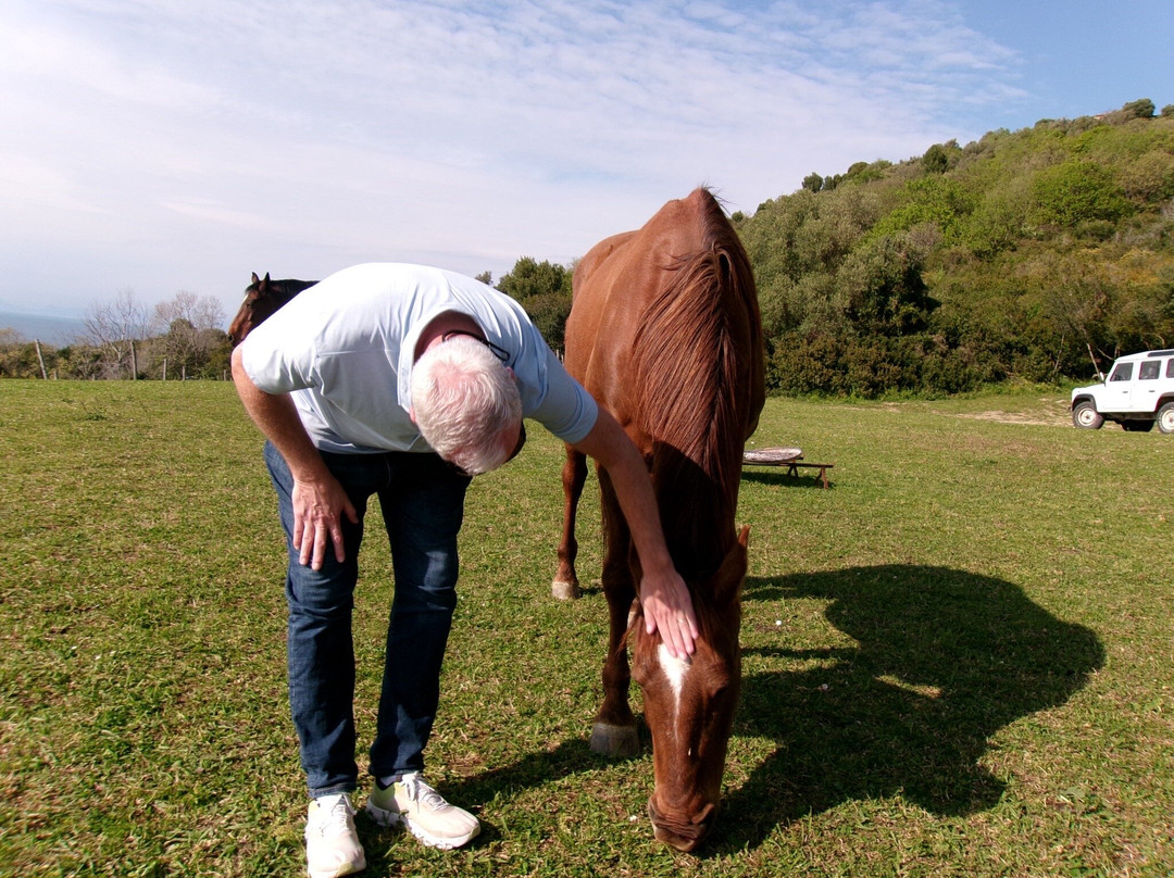 Azienda Agricola San Giovanni主图