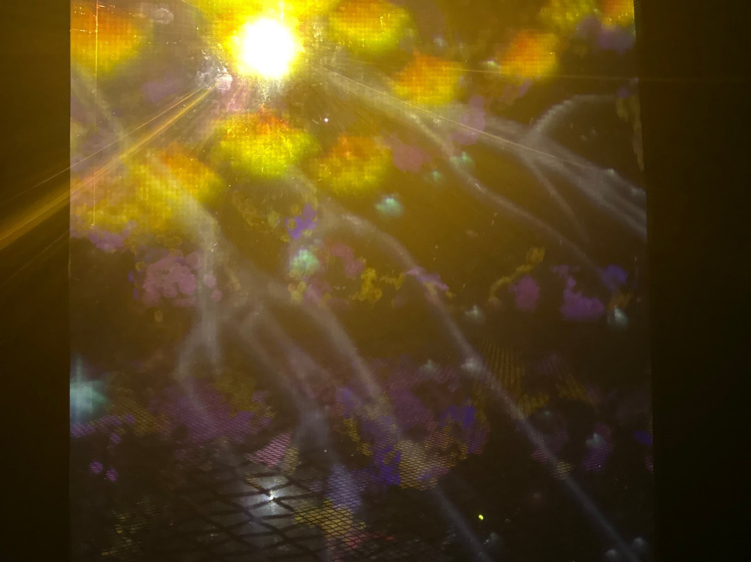 teamLab Phenomena Abu Dhabi-阿布扎比必去景点