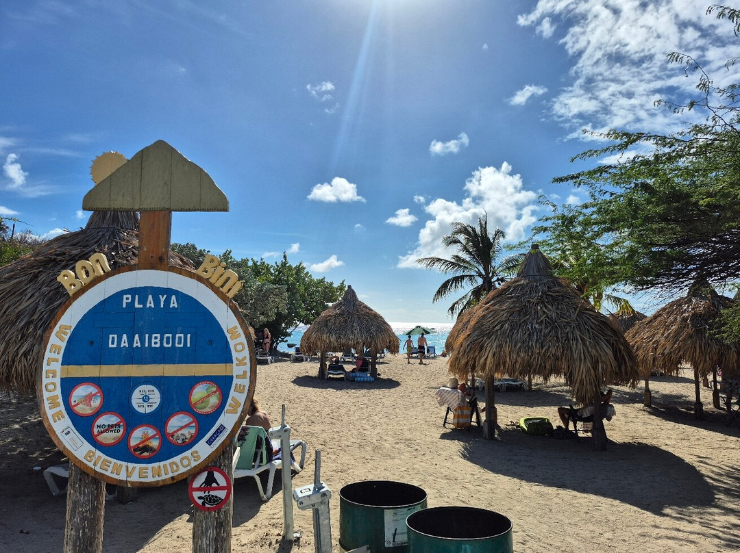 Daaibooi Beach-Sint Willibrordus必去景点