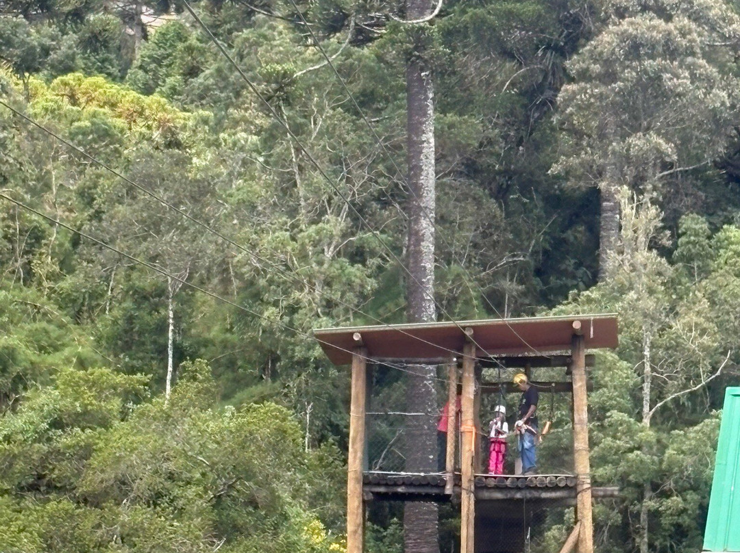 Parque Tarundu-坎普斯－杜若尔当必去景点