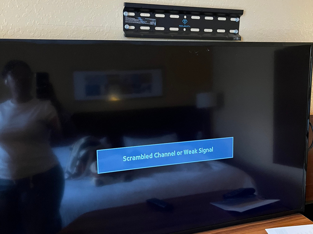 坦帕布兰登万枫酒店及套房主图
