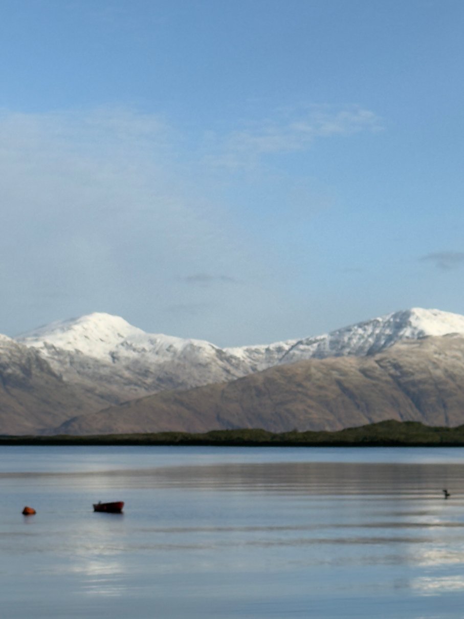码头屋旅馆-官方