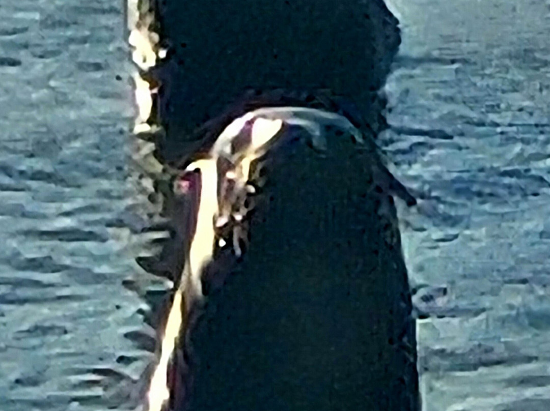 Tora Coastal Walk-马丁堡必去景点