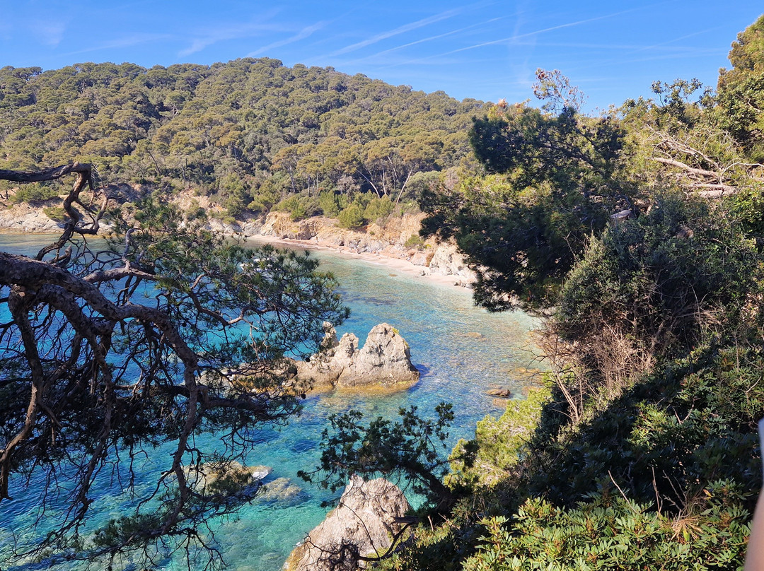 Fab hikes French Riviera Rando06-尼斯必去景点