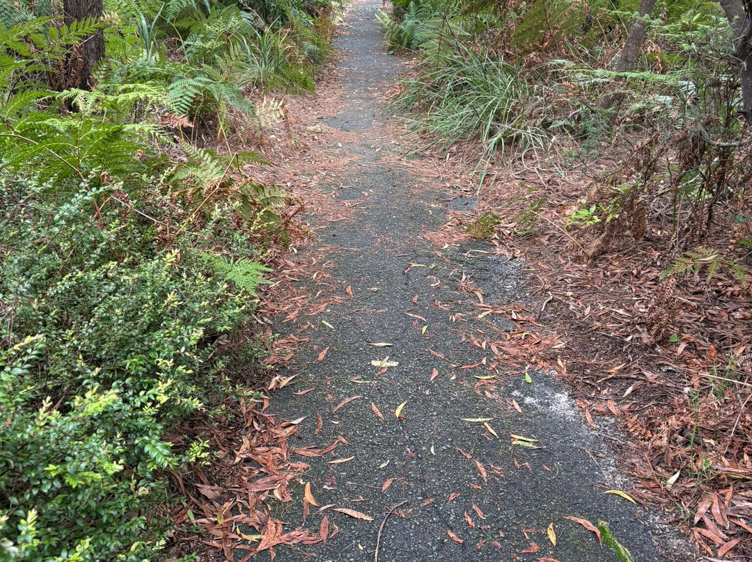 Currimundi Lake-Currimundi必去景点
