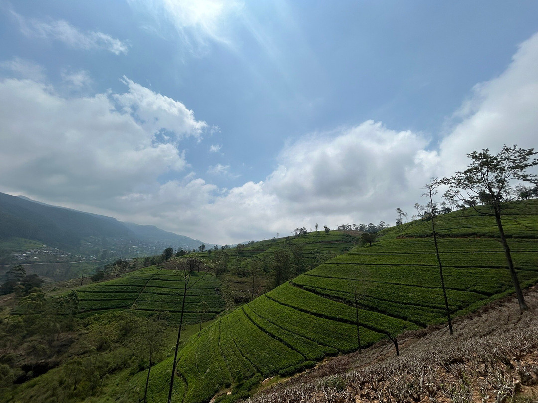 Risi Travels-加勒必去景点