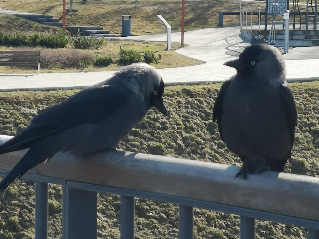 Fedorovsky Embankment-下诺夫哥罗德必去景点