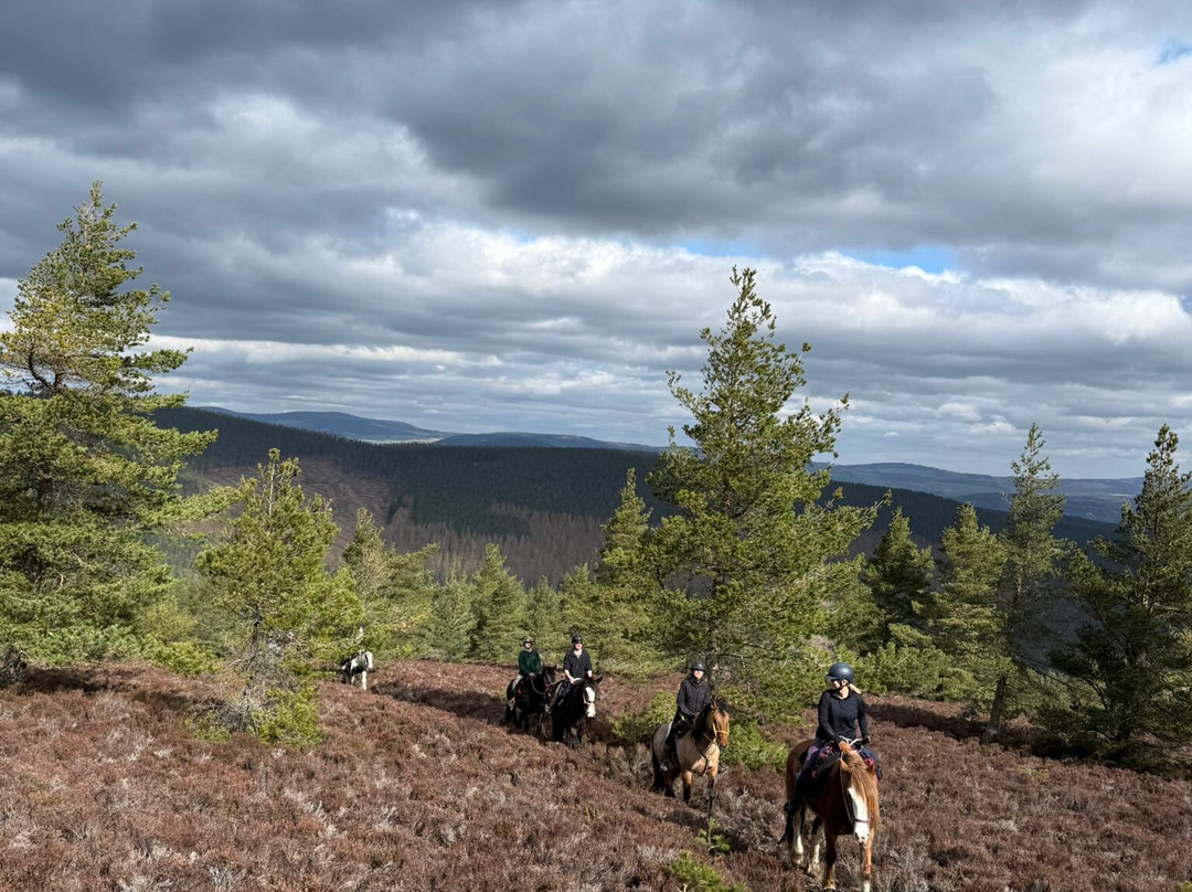 Highlands Unbridled Trail Riding & Trekking Centre-Aboyne必去景点