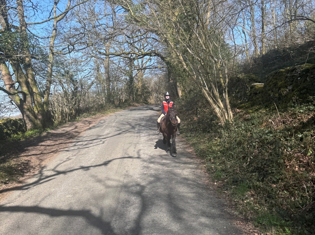 Fell Pony Adventures-温德米尔必去景点