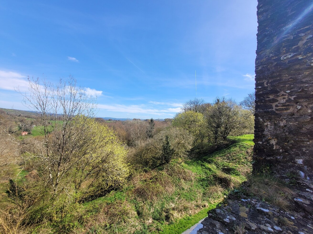 Dinefwr Estate-兰代洛必去景点