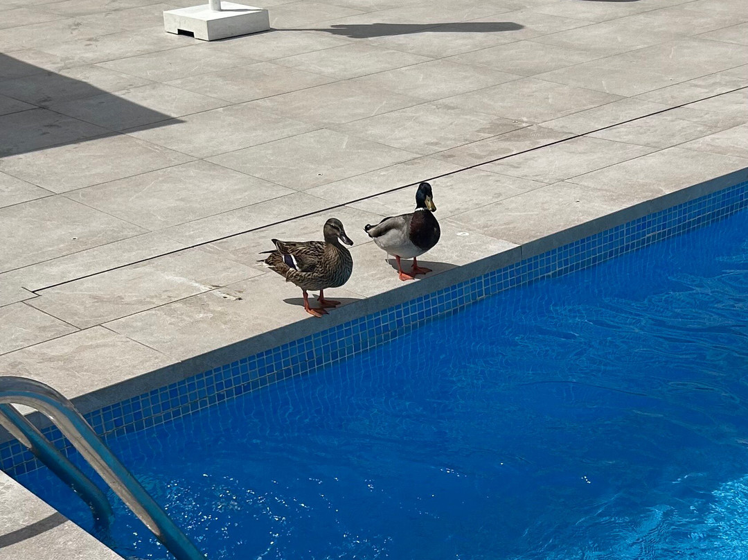 环球圣塔波萨公园酒店