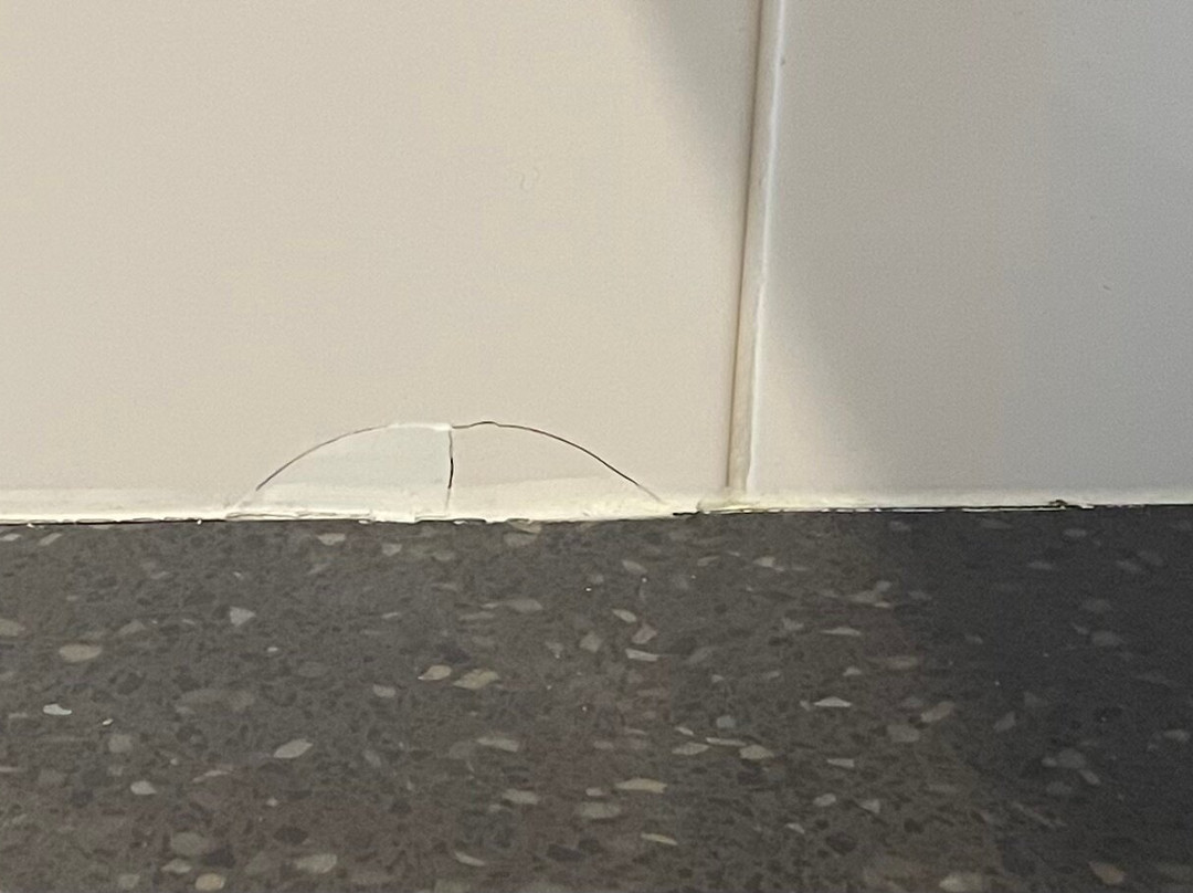 艾勒斯利国际汽车贝斯特韦斯特酒店主图