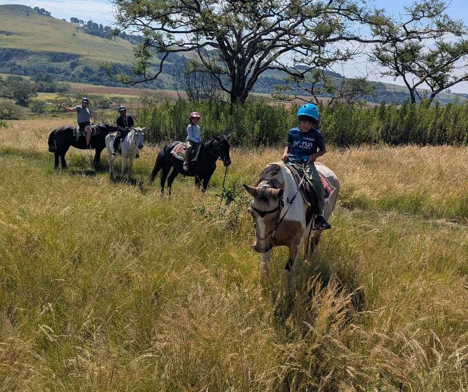 Ushaka Horse Trails-温特顿必去景点