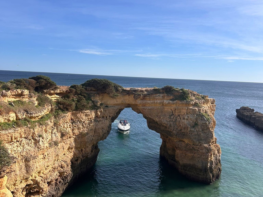 维拉维塔公园水疗度假村主图