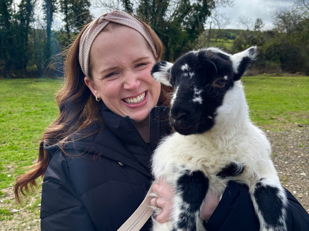 Sheep Smarts-Rathdrum必去景点