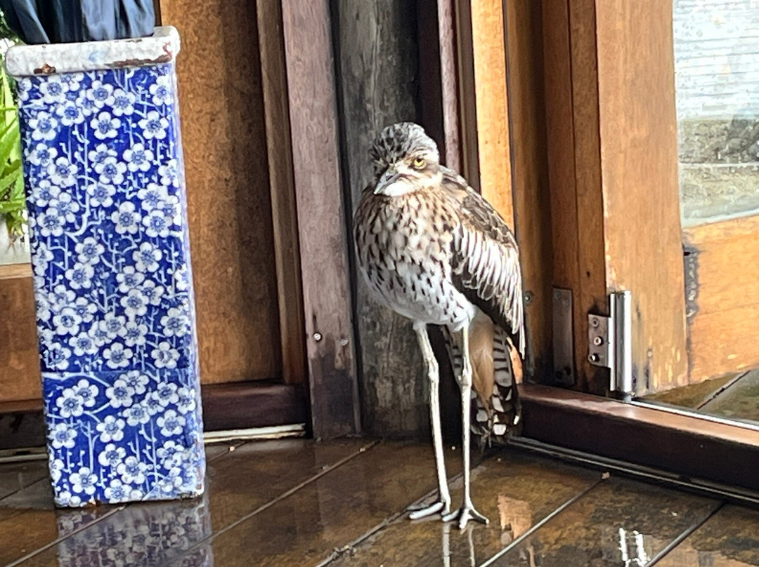 伊利西亚豪华生态岛度假村主图