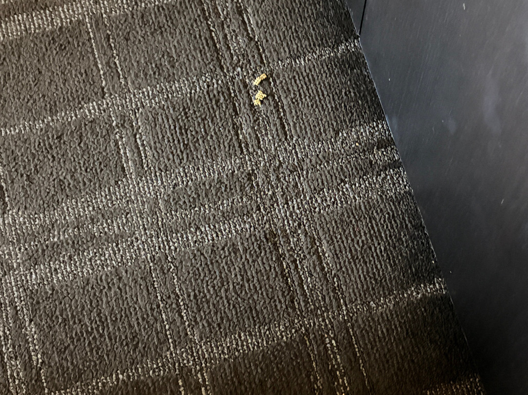 特瑟罗度假村主图