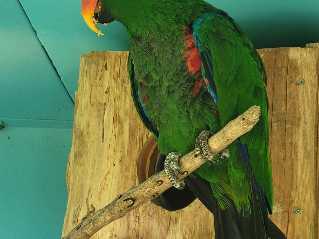 Ilha das Aves-Campanario必去景点