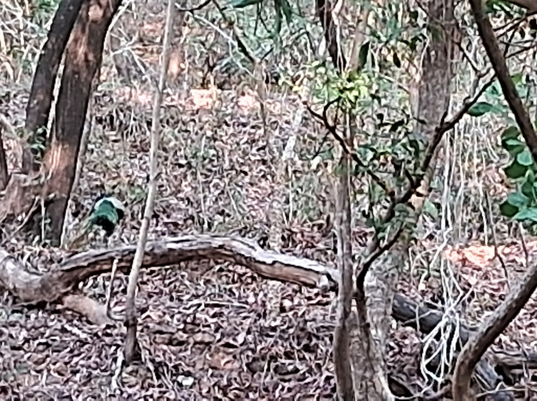 赛韦什兰海滩度假村-宾多尔主图