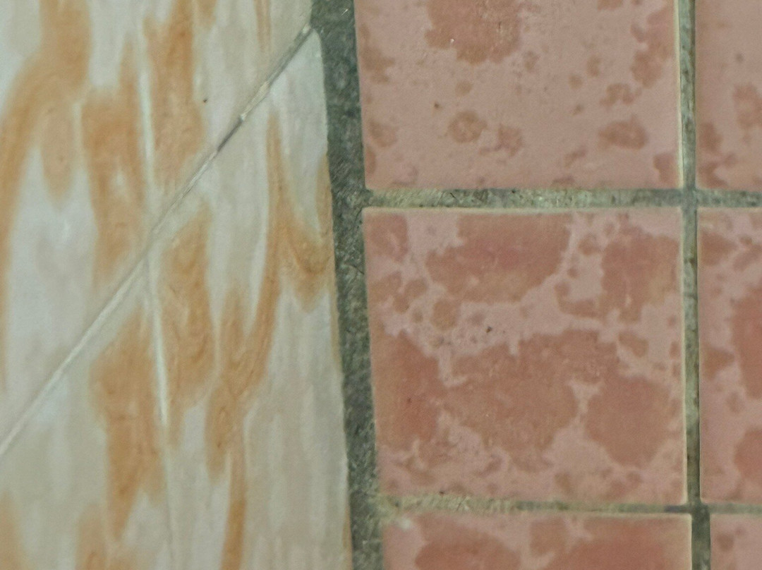 海湾汽车旅馆主图