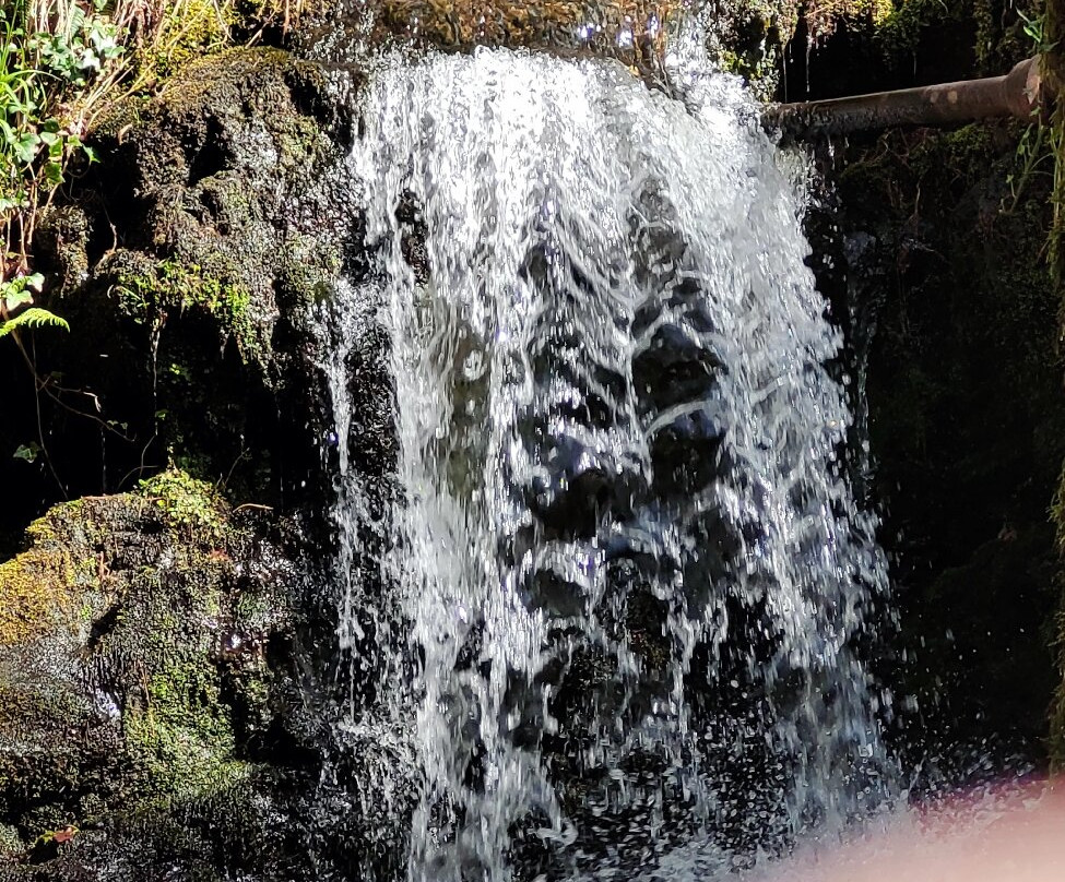 Aberdunant Hall Holiday Park主图