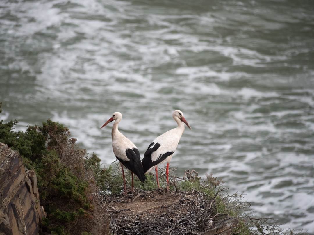 Portugal Nature Trails-辛特拉必去景点